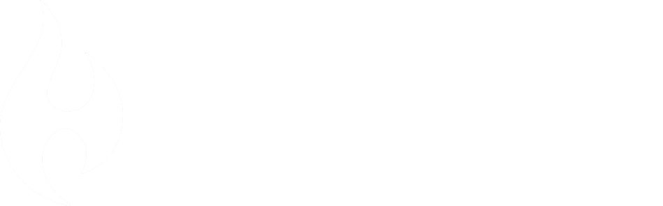 HIFANCY Logo1 white